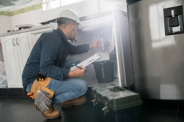 Best Toilet Repair Services  in Meridian Village, CO